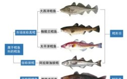 宝宝的辅食鱼泥怎么做