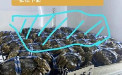 海鲜冷藏冰箱怎么放才保鲜？