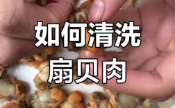 海鲜餐馆贝壳怎么处理