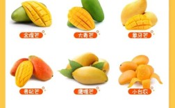 芒果和海鲜同食需间隔多久？