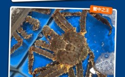 帝王蟹属于海鲜还是河鲜？