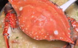 海鲜砂锅粥能用大闸蟹吗