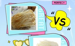 海鲜菇和金针菇，到底有啥不一样？