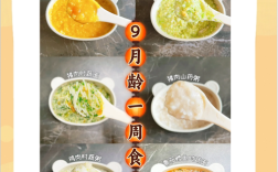 8到9个月宝宝辅食食谱