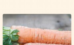 生吃萝卜配海鲜会相克吗？