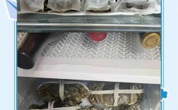 海鲜产品的储存与保管