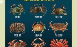 海鲜蟹做法大全图解，蟹有多少种美味做法？
