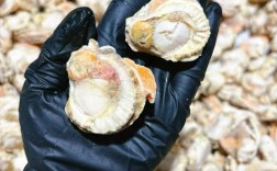 冷冻贝壳海鲜解冻有哪些正确方法？