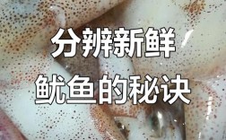 海鲜怎么判断新鲜不新鲜？