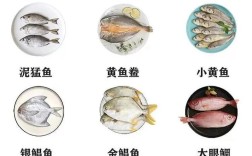 海小鱼怎么做？家常做法全解！