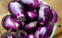 紫茄子怎么做家常又好吃？