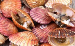 无壳海鲜有哪些？