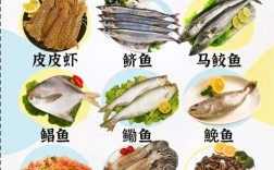 海鲜美食菜谱大全有哪些实用窍门？