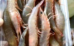 南沙春天海鲜肥，尝鲜有哪些？