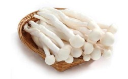 海鲜蘑菇图片大全有哪些种类？