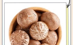 鲜香菇家常做法有哪些？