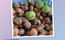 宝宝吃核桃怎么做才好吃？