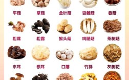 海鲜菇下锅要煮多久？