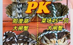 阳澄湖大闸蟹属于海鲜吗？