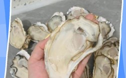 海鲜带子内脏怎么洗才干净？