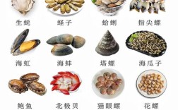 海鲜营养奥秘何在？