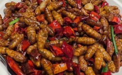 家常炒蚕蛹图片怎么做？家常炒蚕蛹怎么做？