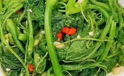 瓜尖的家常做法大全家常