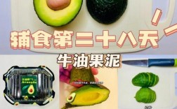 宝宝牛油果辅食怎么做才好吃又营养？