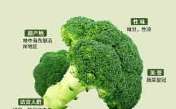 宝宝吃西兰花到底有哪些好处？