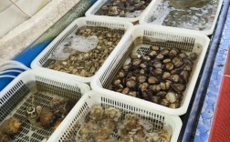 海鲜大咖原料如何正确储存保鲜？