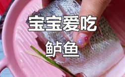 8月宝宝能吃鲈鱼吗？需注意什么？