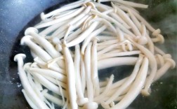 海鲜菇和土豆能一起吃吗？