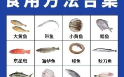 海鲜名字图片多，如何快速认全？