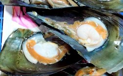 带子怎么做好吃？海鲜带子做法大全集