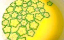 9个月宝宝能吃秋葵辅食吗？