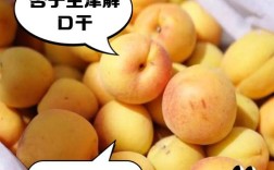 海鲜杏子同食会中毒吗？