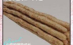 5个月宝宝可以吃山药吗