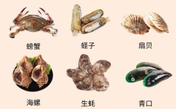 夏季都有哪些时令海鲜