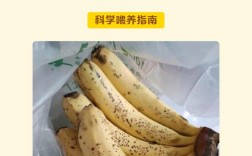 香蕉辅食必须蒸吗？