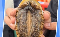 外国海鲜清理教程有哪些关键步骤？