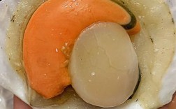 仙贝海鲜怎么处理？视频教你轻松搞定！