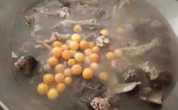 鳄龟肉煲汤怎么做？家常做法步骤有哪些？