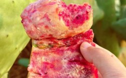 仙人掌果宝宝可以吃吗