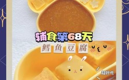 八个月宝宝吃豆腐辅食