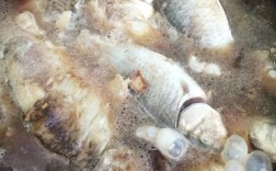 干炖鲤鱼家常做法有哪些？
