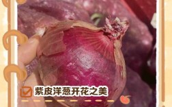 紫洋葱家常做法有哪些？