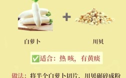 宝宝咳嗽煮萝卜水怎么煮