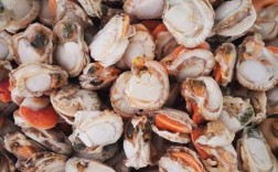 冬天能吃哪些海鲜？