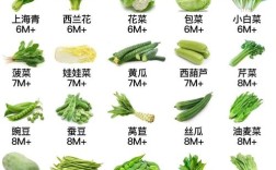 2岁宝宝适合吃哪些青菜？