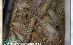 一岁宝宝能吃基围虾吗？需注意什么？